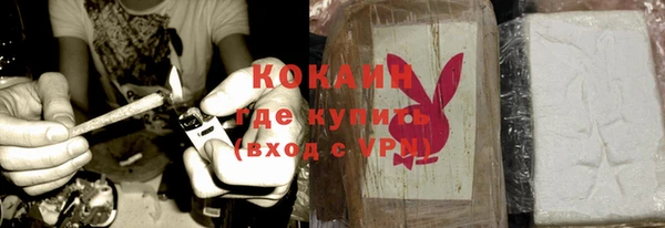 спайс Богданович