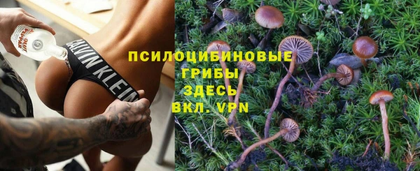 COCAINE Богородицк