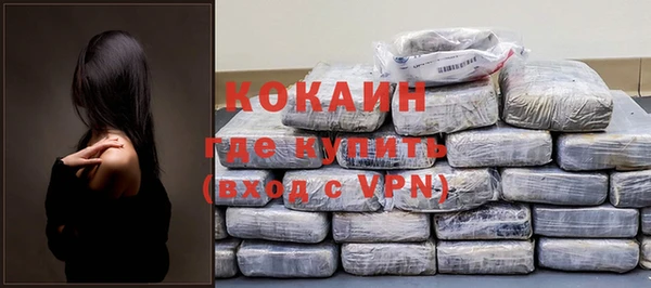 спайс Богданович